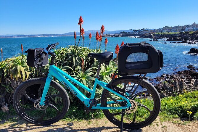 4 hour Electric Bike Rental on 17 Mile Drive - Who Is This Tour Best Suited For?