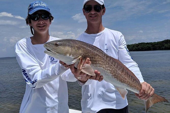 4 hour Fishing Charter with a Tampa Native - Authentic Voices from Past Guests