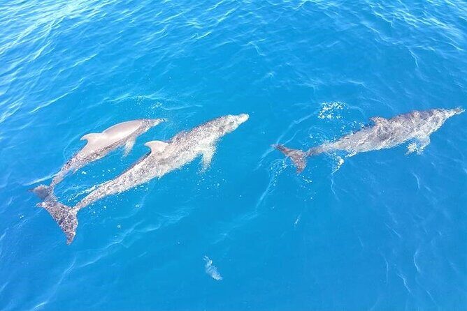 4-Hour Fort Lauderdale Sailing Charter - Final Thoughts