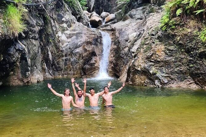 4-Hour Jungle Hike and Waterfall Swim - A Deep Dive into the Experience