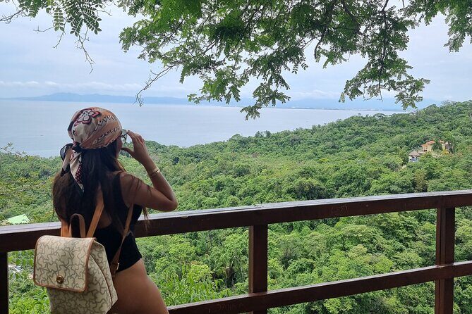 4-Hour Jungle Hike and Waterfall Swim - Frequently Asked Questions