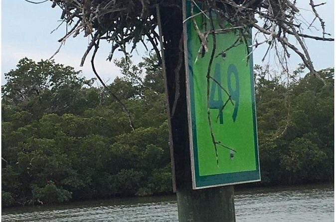 4 Hour Keewaydin Island Beach Tour - Authentic Experiences and Feedback