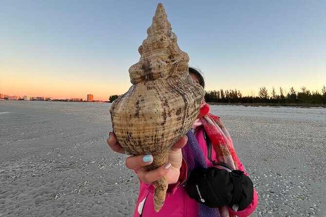 4 Hour Kice Island Shelling Trip - What’s Included & What to Bring