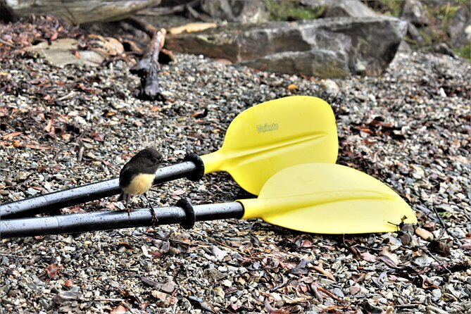 4-hour Lake Mapourika Kayak and Hike adventure, with Okarito Kiwi Sanctuary - Real Traveler Insights