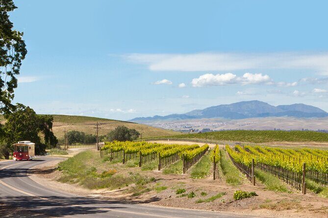 4 Hour Livermore Valley Wine Tour - Key Points