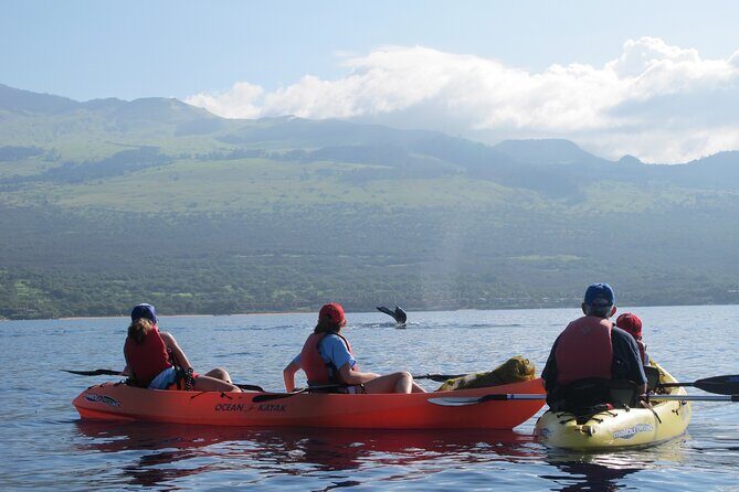 4-Hour Makena Whale Watch Tour - The Experience We Think It’s Best For