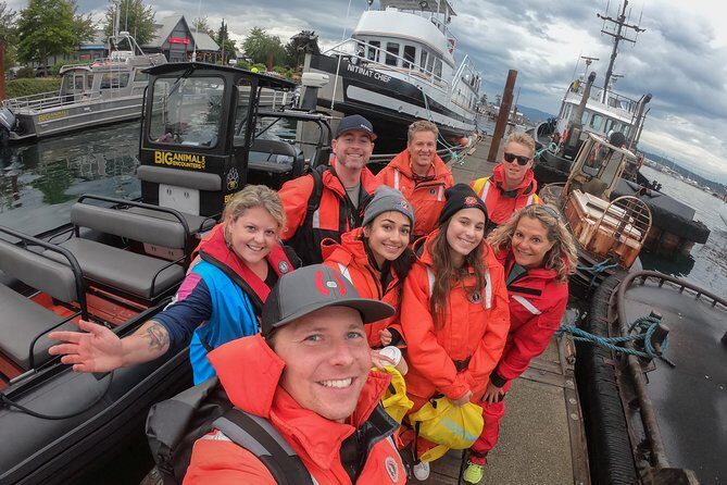 4 Hour Morning Whale Watching Tour - FAQ