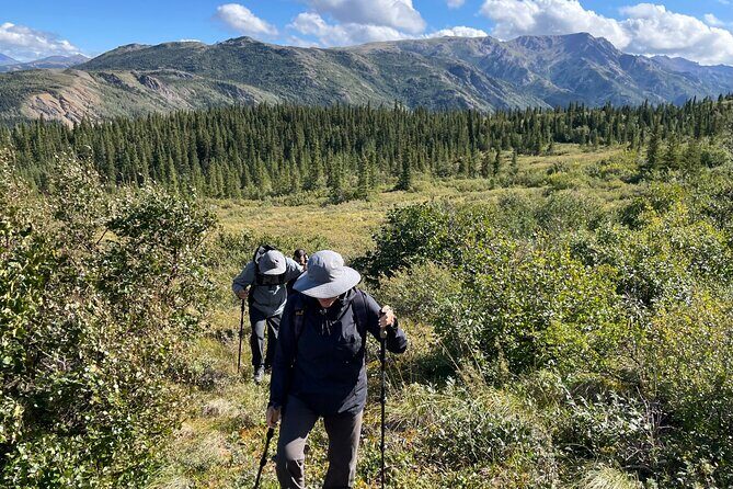 4 Hour Off-Trail Hiking Tour in Denali - Practical Details