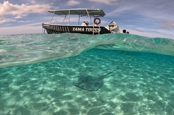 4 Hour Private Humpback Whales Encounter in Moorea - What Reviewers Say
