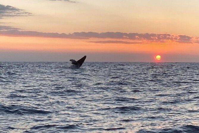 4 Hour Private Sunset Fishing Charter - Who Should Consider This Tour?