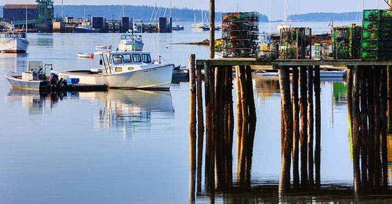 4 Hour Private Tour: Acadia, Fjord, Gardens & Mansions - Who Should Consider This Tour?