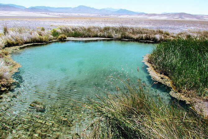 4-Hour Private Tour in Hidden Hot Springs Outside Death Valley - Final Thoughts