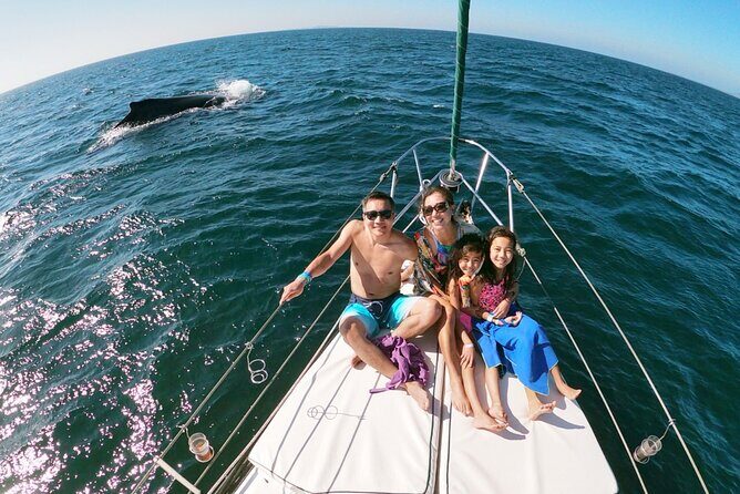 4-Hour Private Whale Watching in Puerto Vallarta - What to Expect from Your Whale Watching Adventure