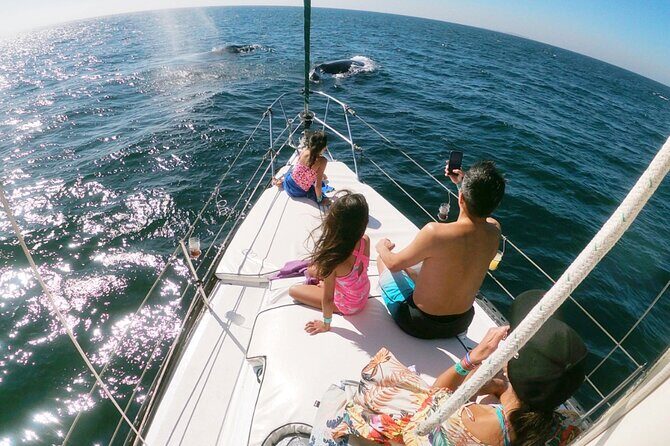 4-Hour Private Whale Watching in Puerto Vallarta - Why This Tour Works Well