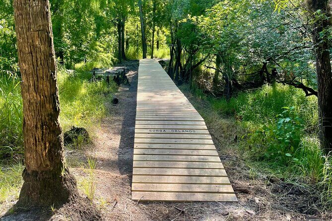 4-hour Rental Mountain Bike Experience - What is the Experience Really Like?