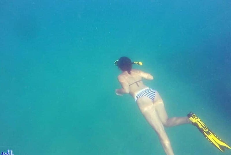 *4-Hour Roqueta Island Snorkeling, out of the Bay Experience - What Travelers Love About This Tour