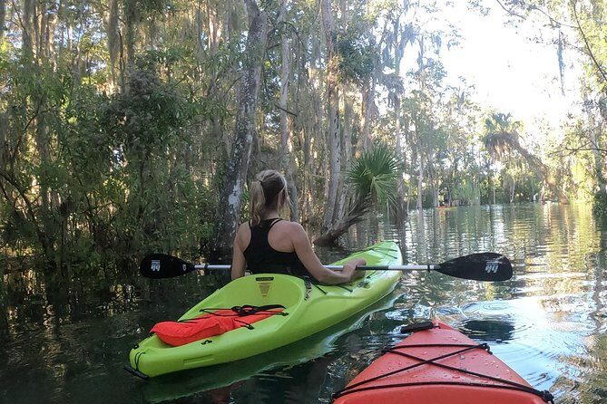 4 Hour Single Kayak Rental In Crystal River, Florida - What to Expect During Your Paddling Adventure