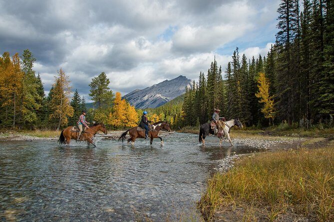 4 Hour Sulphur Mountain Horseback Ride - Practical Details and Considerations