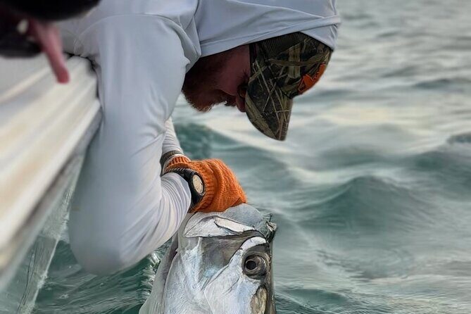 4 Hour Sunset Seasonal Tarpon Charter from Key West - Key Points