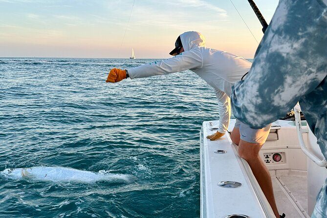 4 Hour Sunset Seasonal Tarpon Charter from Key West - The nitty-gritty of the 4-hour sunset tarpon experience