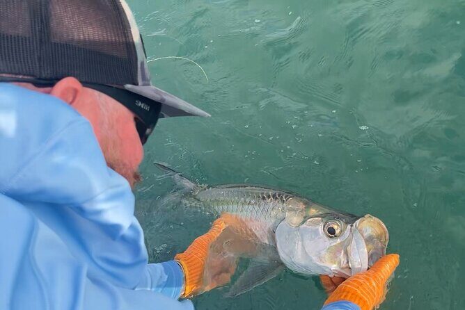 4 Hour Sunset Seasonal Tarpon Charter from Key West - What to expect on the water