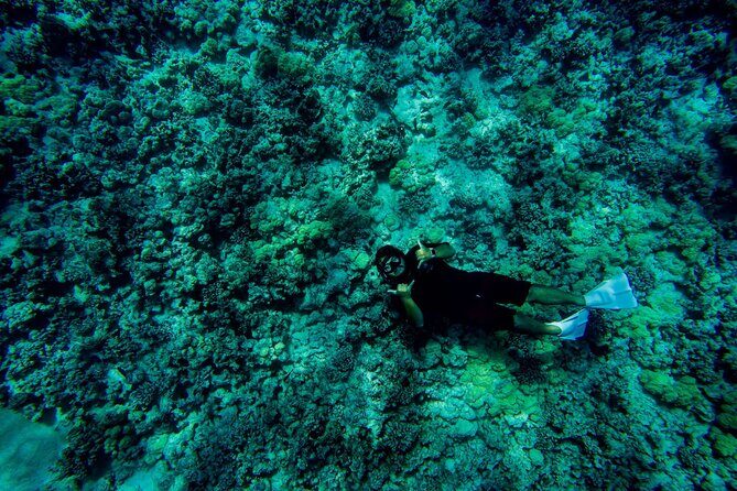 4 Hour Super-Raft Snorkeling Experience in Kailua-Kona - Final Thoughts