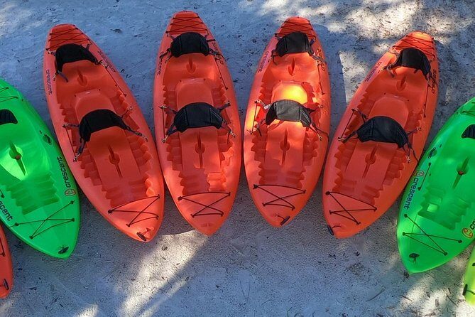 4 Hour Tandem Kayak Rental For Two People In Crystal River, Florida - Real Experiences from Tour Goers
