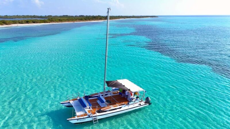 4 Hour Turtle Sanctuary Experience on a Luxury Catamarán - An Honest Look at What to Expect