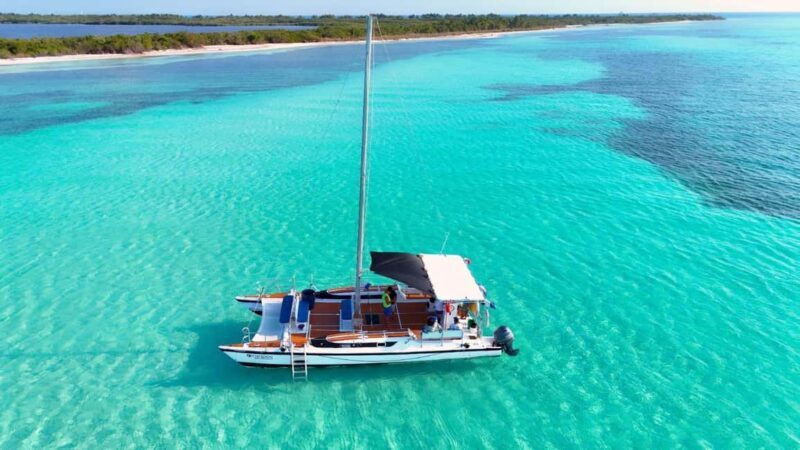 4 Hour Turtle Sanctuary Experience on a Luxury Catamarán - Important Details & Practical Tips