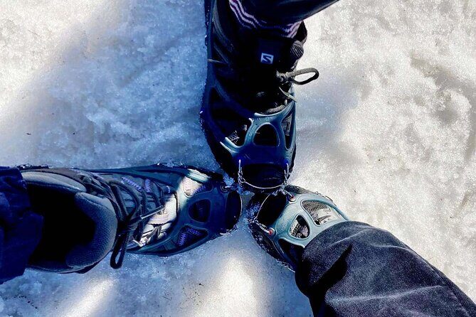 4 hours Best View of the Oslofjord Winter Edition - What We Love and What to Keep in Mind