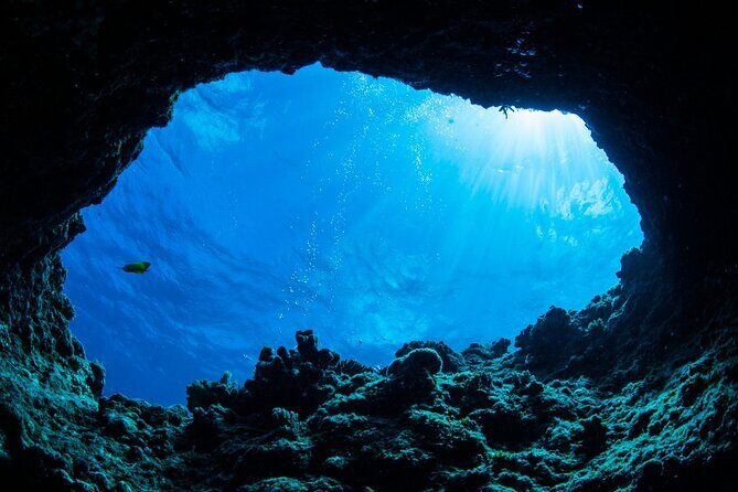 4 Hours Caves, Snorkeling and Swimming Tour in Dubrovnik - The Bottom Line: Is This Tour Right for You?