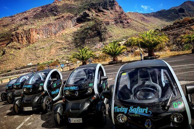 4 Hours Eco Safari Tour with Electric Car in Tenerife - A Practical Look at the 4 Hours Eco Safari Tour with Electric Car in Tenerife