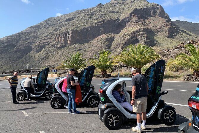 4 Hours Eco Safari Tour with Electric Car in Tenerife - Final Thoughts: Who Should Consider This Tour?