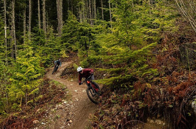 4 Hours Guided Mountain Bike Tour - The Value of Guided Tours in Squamish