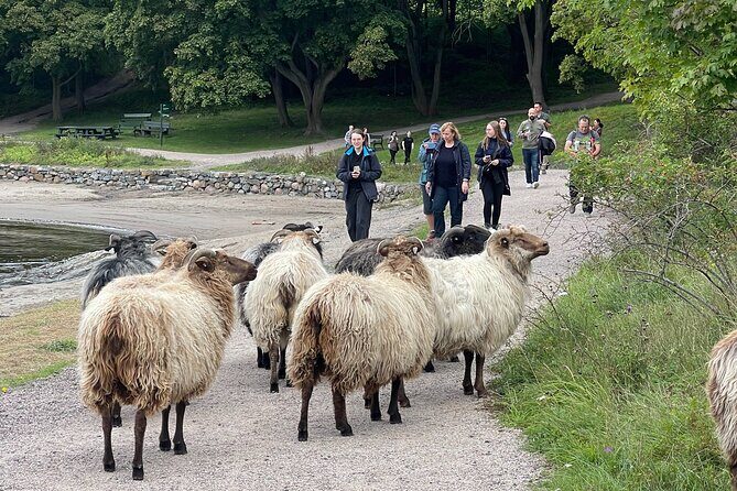 4 Hours Island Hopping Tour in Oslo - Frequently Asked Questions