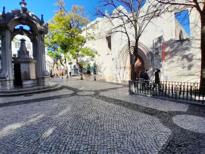 4-Hours Lisbon sightseeing highlights Tour - The Experience and the Guides