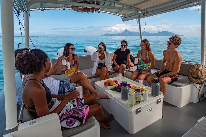 4 Hours of Humpback Whale Watching in Tahiti - Final Thoughts: Is This Tour for You?