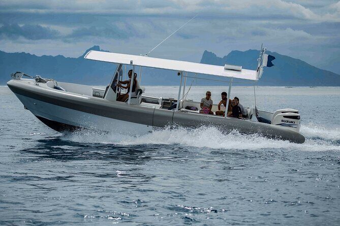 4 Hours of Humpback Whale Watching in Tahiti - FAQs