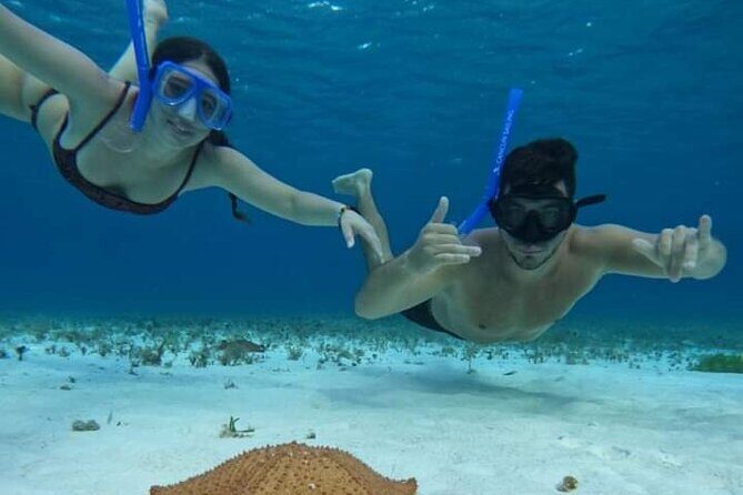 4 hours of shared snorkeling to El Cielo - What To Expect on This Cozumel Snorkeling Adventure