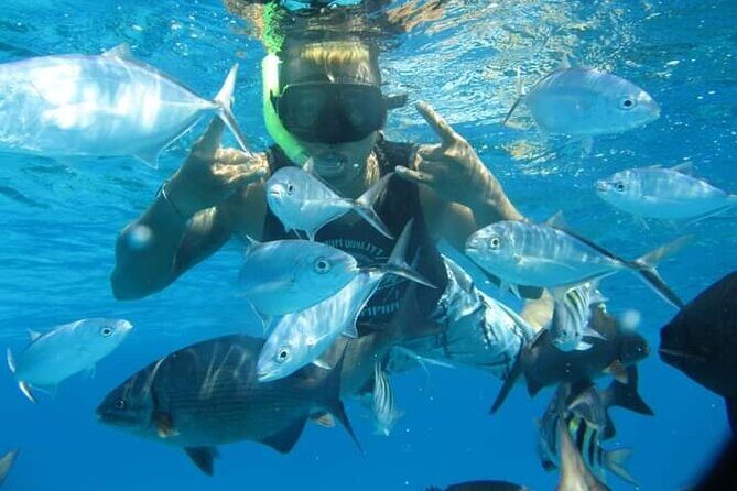 4 hours of shared snorkeling to El Cielo - Frequently Asked Questions