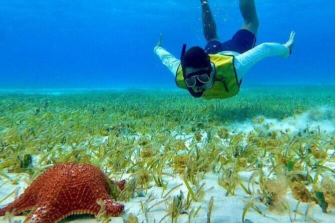 4 hours of shared snorkeling to El Cielo - Final Thoughts