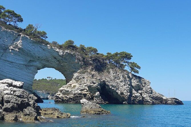 4 Hours Private Guided Boat Tour in Vieste - The Practicalities: What You Need to Know