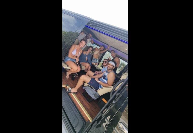 4 hours Private Mykonos Island tour by Luxury Minibus - Who Is This Tour Best For?