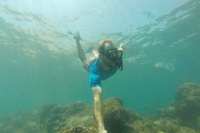 4 Hours Snorkeling Tour in Cabo San Lucas and Corridor - A Detailed Look at the Experience