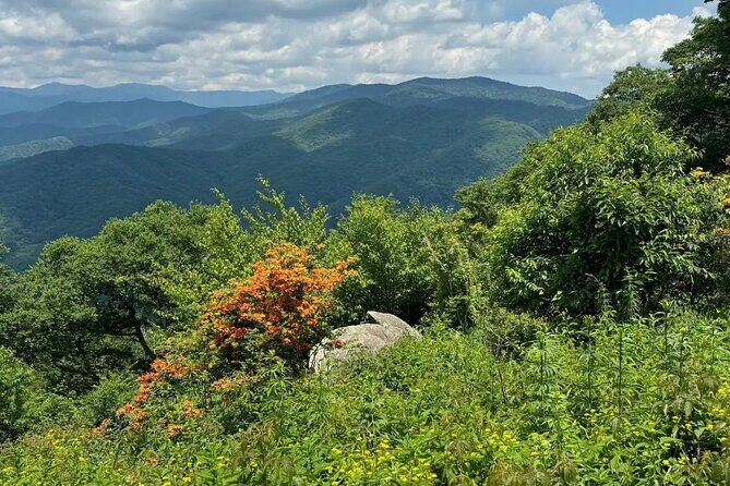 4 Hr Maggie Valley Slingshot Automatic Rental - What Youll Experience During Your Rental