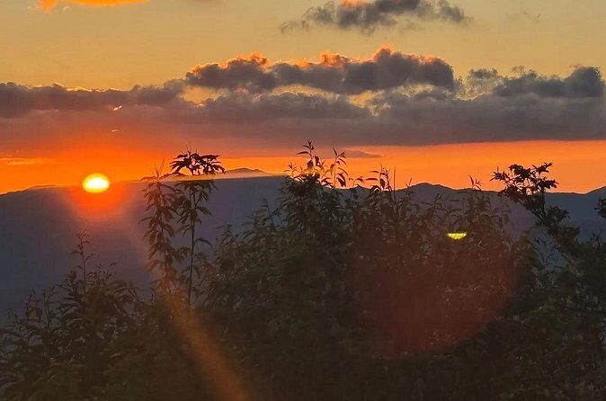 4 Hr Maggie Valley Slingshot Automatic Rental - FAQs about the Maggie Valley Slingshot Rental