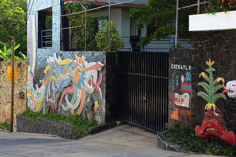 .4-Hrs Cruise or Hotels City Tour Experience w/High Divers - The Experience of the Guides