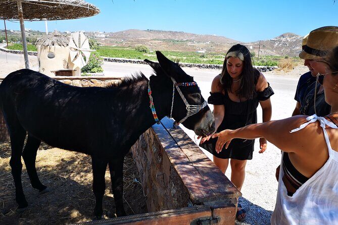 4 hrs PRIVATE island tour and photos, Oia and Blue domes - FAQs