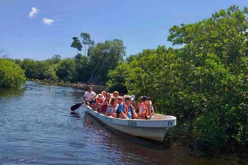 4-in-1 Tour - Mazunte, Cacao Factory & Turtle Spawn/Release - Key Points