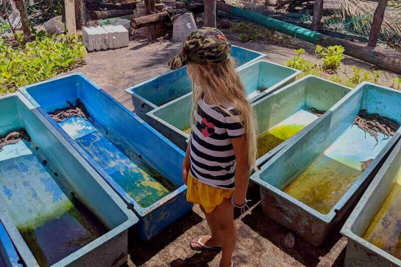 4-in-1 Tour - Mazunte, Cacao Factory & Turtle Spawn/Release - Who Is This Tour For?